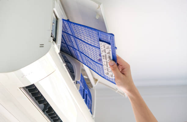Best Air Duct Mold Removal  in Adair Village, OR